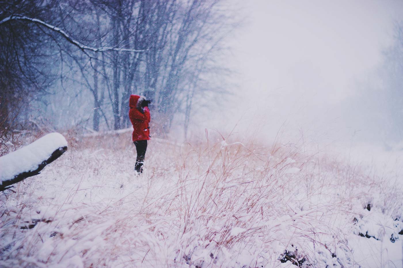 Woman Taking Photo in the Snow